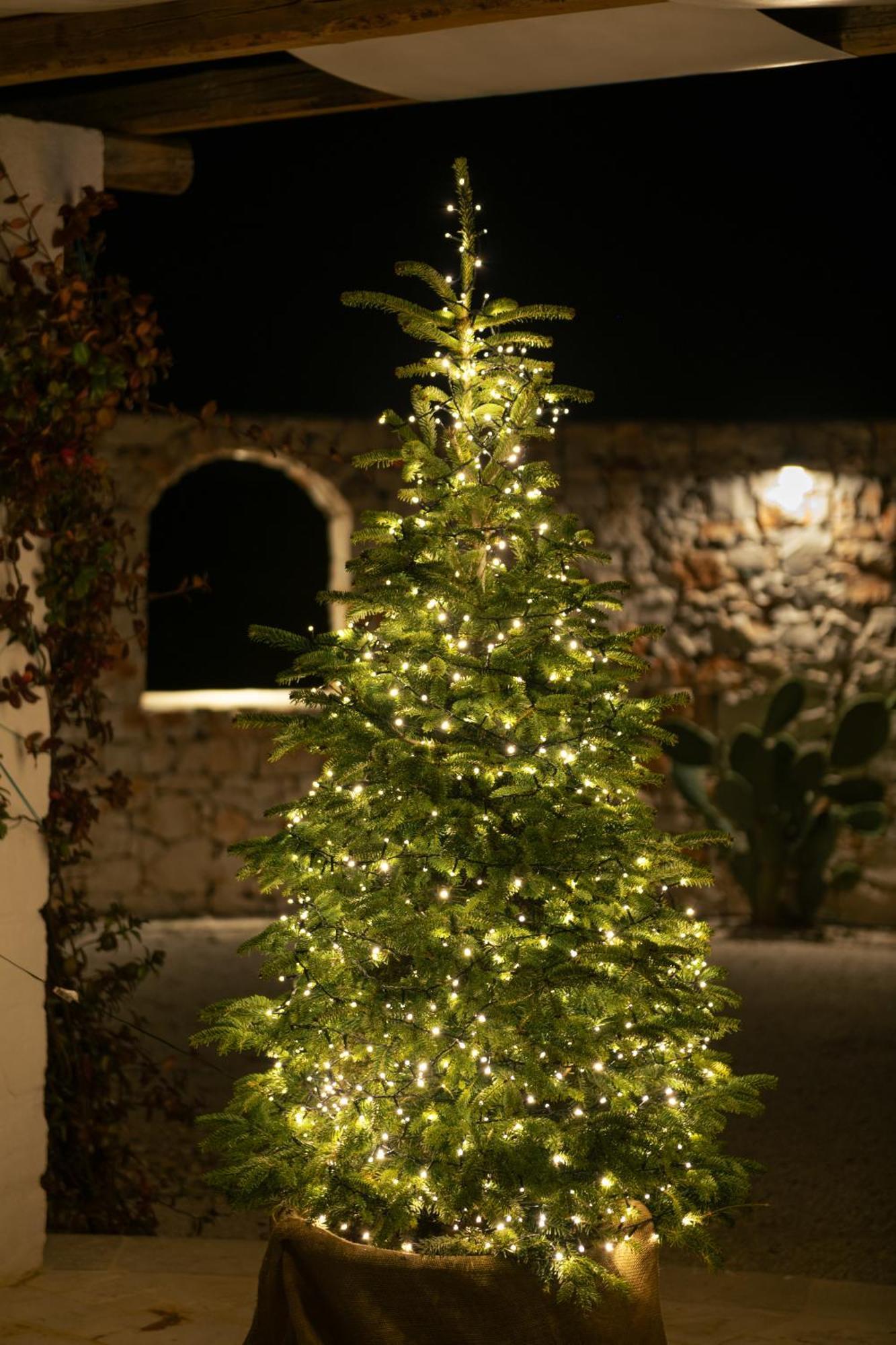 Trulli Del Conte Luxury Holiday Castellana Grotte Exterior foto