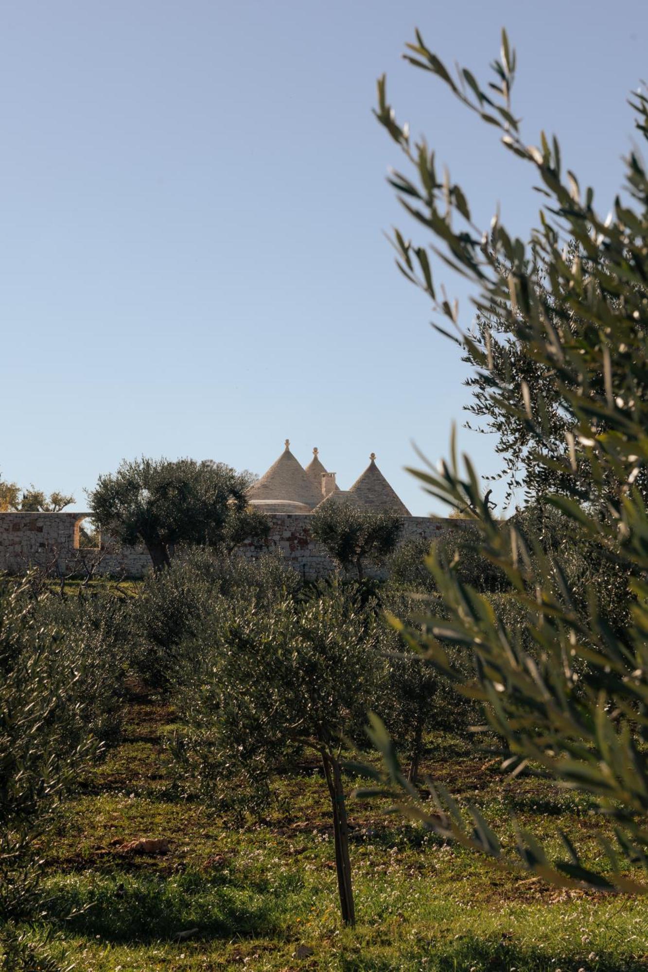 Trulli Del Conte Luxury Holiday Castellana Grotte Exterior foto